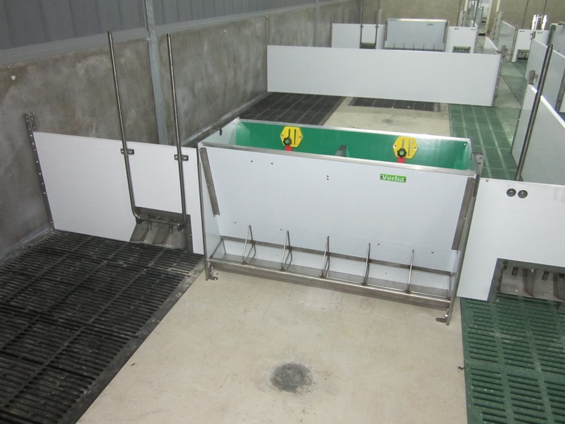 Bibra per due con vaschetta SL dotata di bordo antiversamento speciale Abbeveratoio doppio 2x2 e SL673D KR con speciale bordo antiversamento e divisori per le mangiatoie