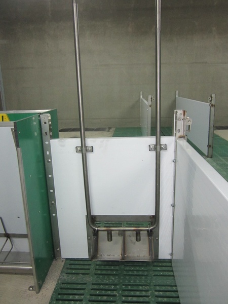 Duodrinker 2x2 con tubo di ricircolo Bebitore doppio a 2 scomparti con tubo di ricircolo