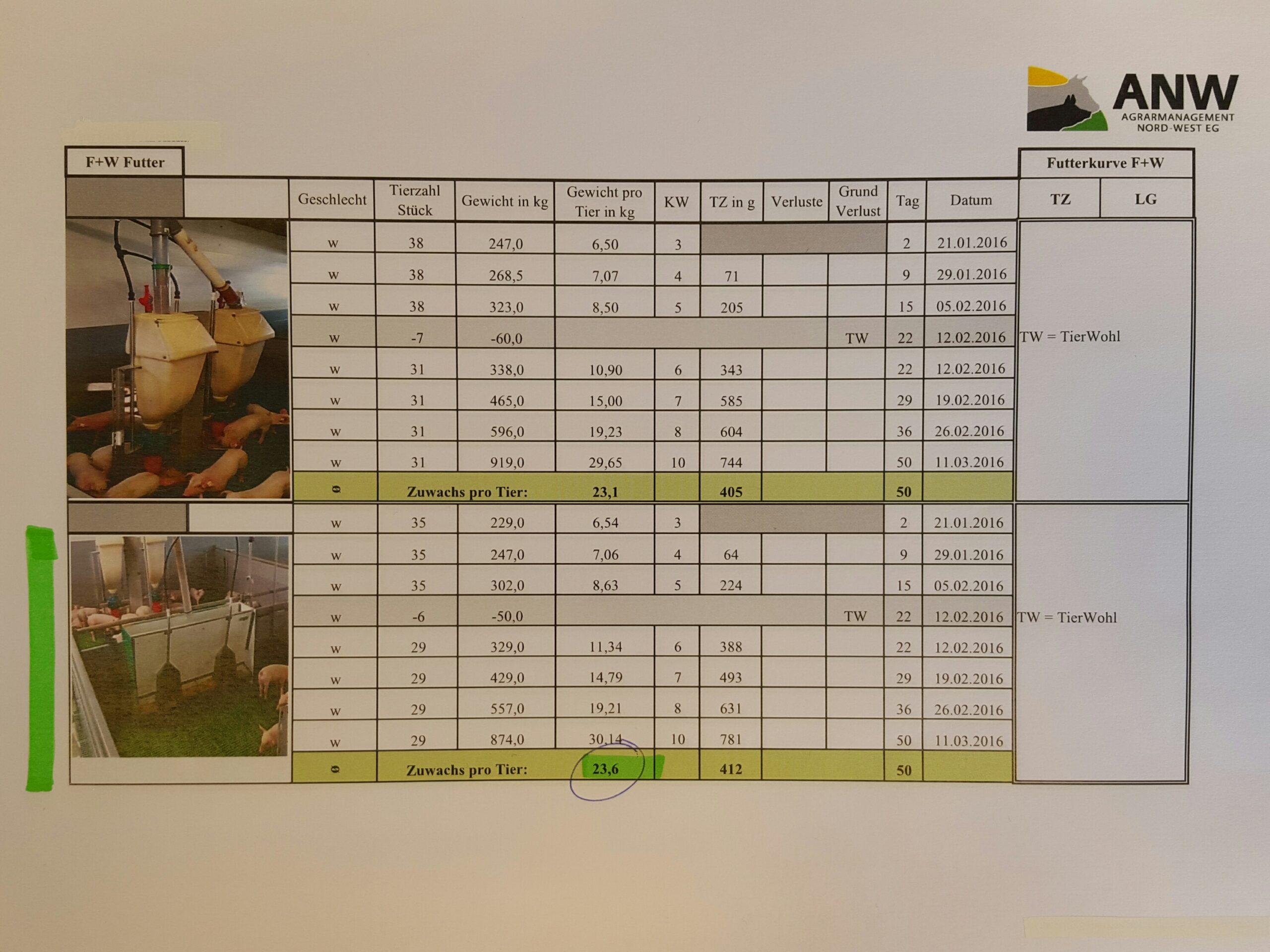 Risultati dei test sui suinetti Drowaco