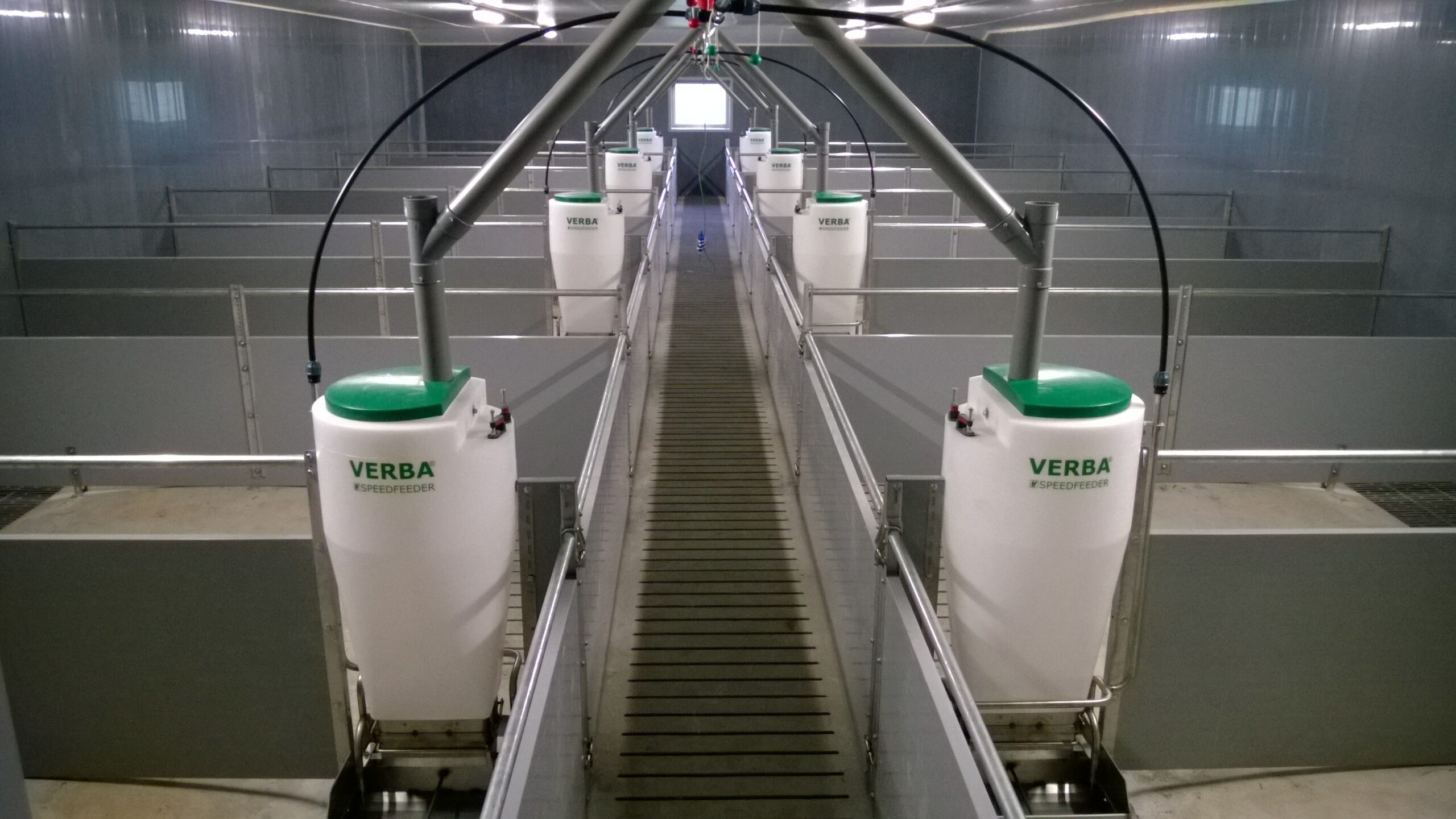 Speedfeeder 50 mangiatoie per suini
