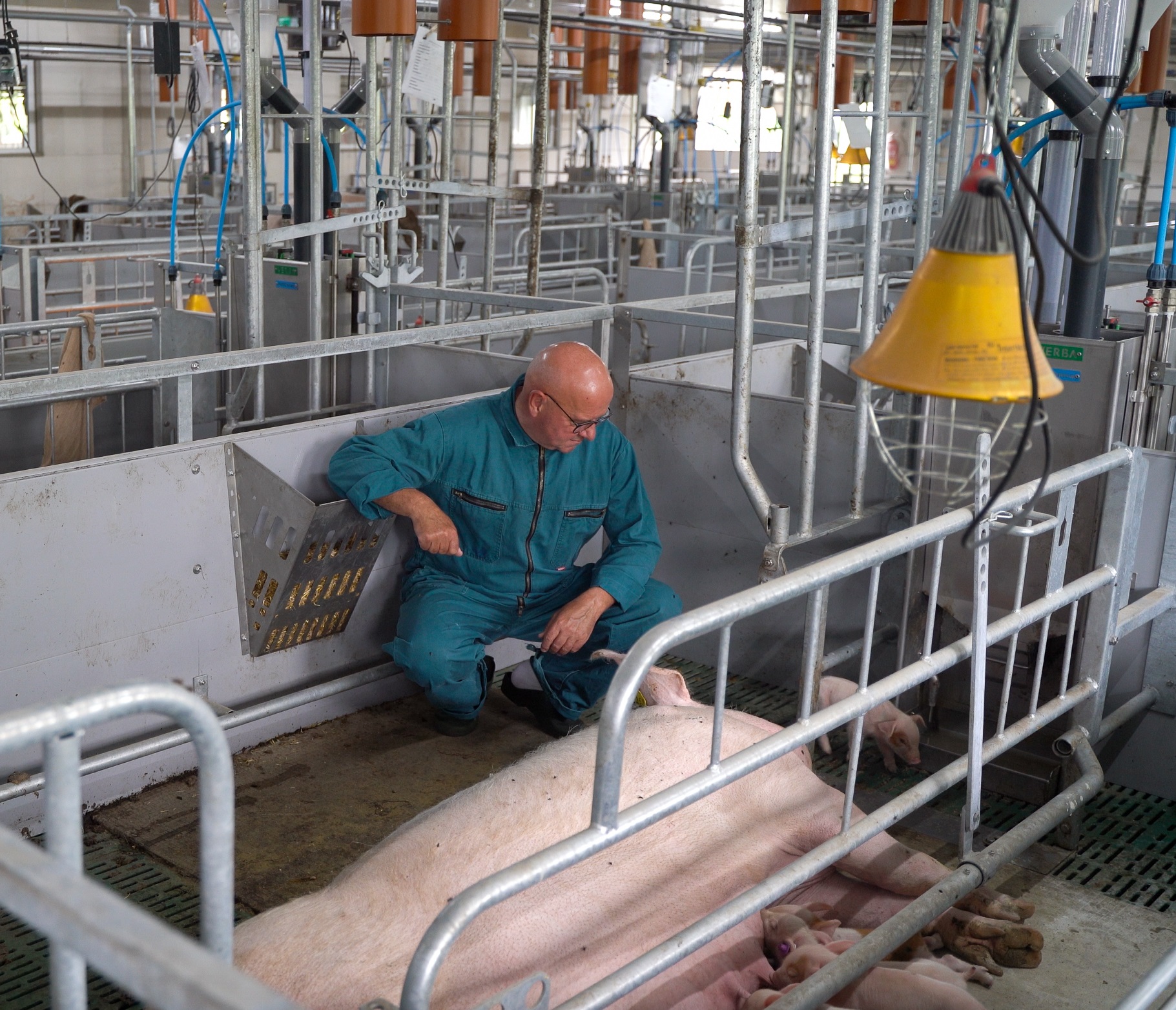 Pollaio all’aperto con Geert van Sambeek